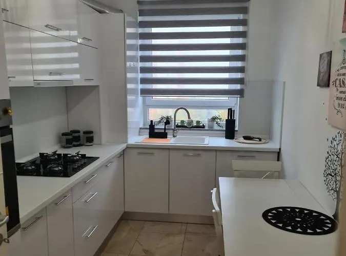 Apartment Oscar House Brasov